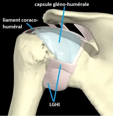 ligaments-GH-legendes-post-370x378