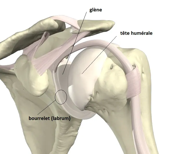 bourrelet