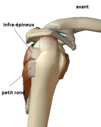 infra-ep-+ptit-rond-profil
